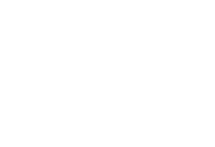 Logo spotify blanc