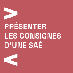 Presenter les consignes d'une SAe