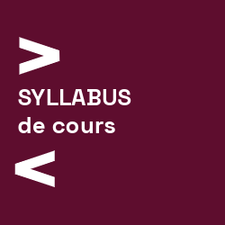 Vignette_Syllabus Deployer les TEDS dans son enseignement ou sa formation